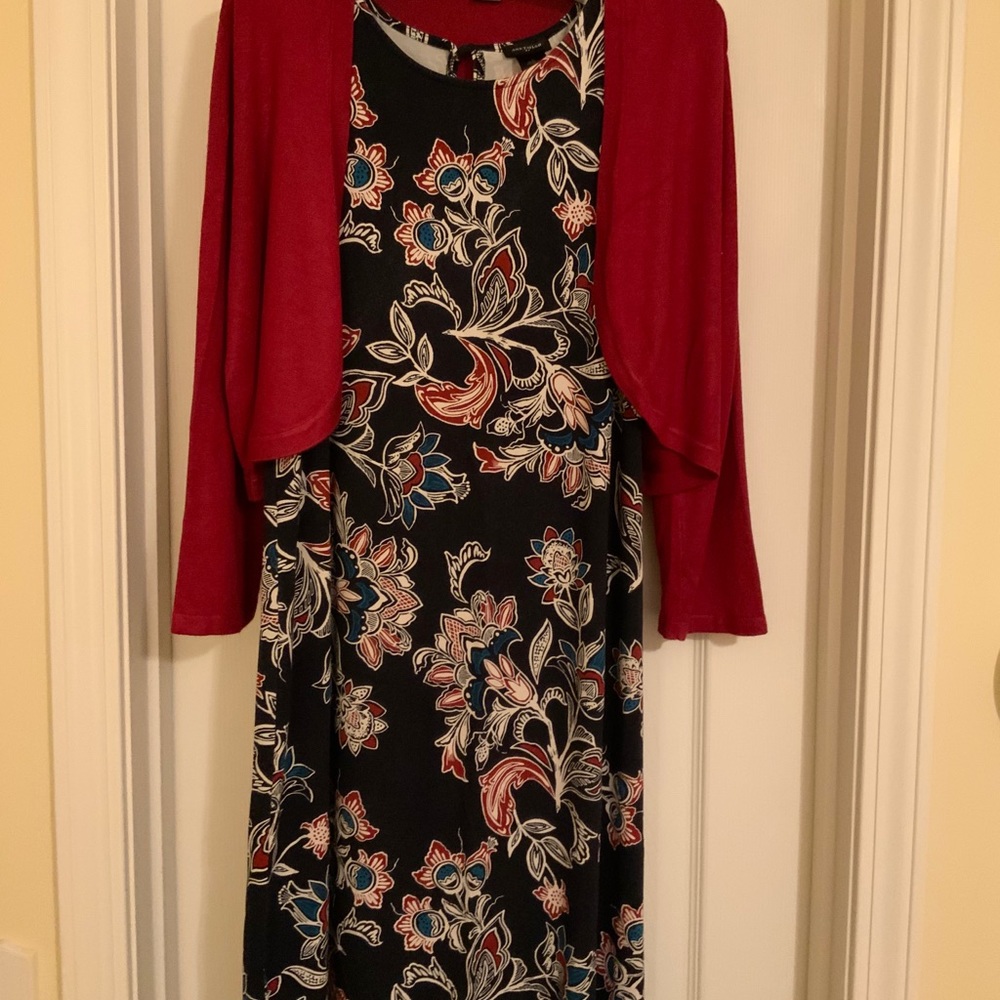 Ann Taylor Dress and Shrug